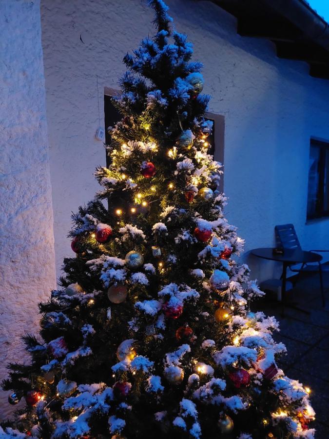 Pension Welserhof Wilfersdorf  Extérieur photo
